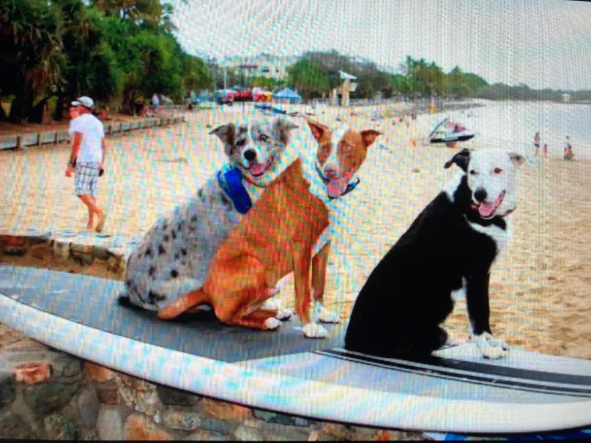 Carramah Noosa Heads Apartment ภายนอก รูปภาพ